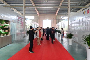 扁医食疗养生全餐全国发布会圆满举行，专业会议服务赋能健康新篇章